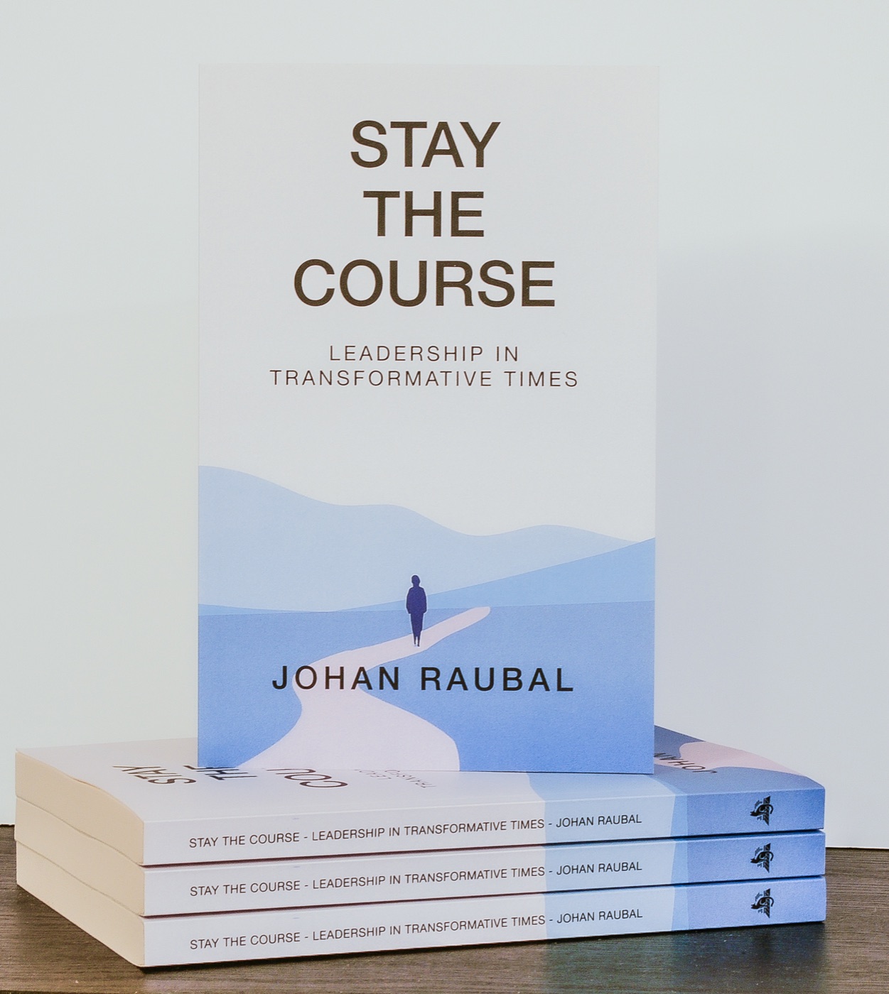 Stay The Course cover